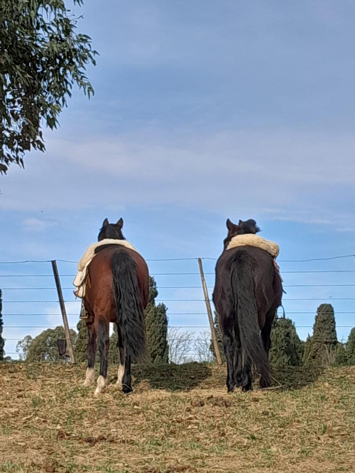 Chacras De Azcona Hosteria Azul Exteriér fotografie